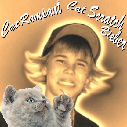 cat scratch bieber