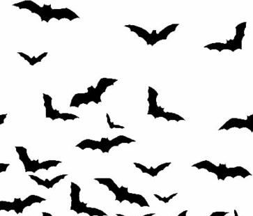 bats