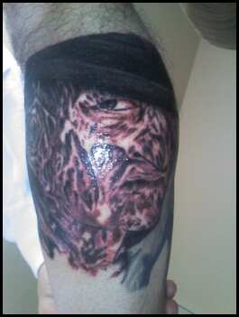 Freddy tat